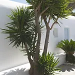 Paradise View Hotel