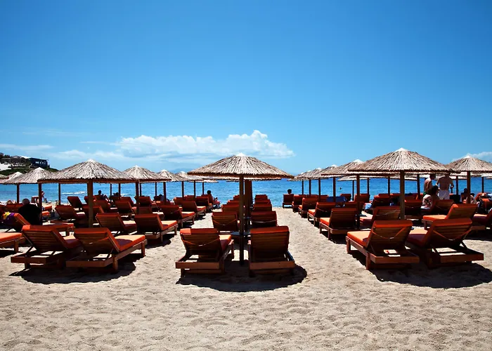 パラダイス ビュー パラダイスビーチ