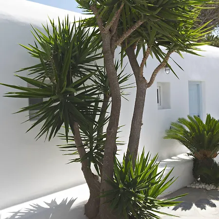 Paradise View Hotell